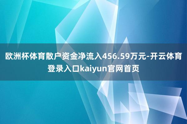 欧洲杯体育散户资金净流入456.59万元-开云体育登录入口kaiyun官网首页